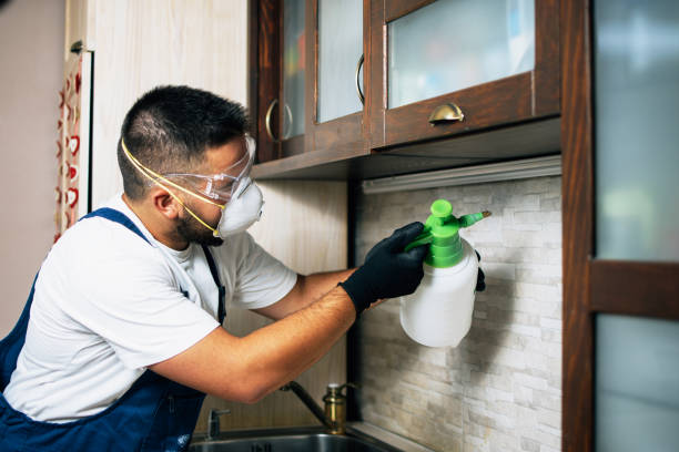 Best Exterminator Services  in Dunkirk, NY