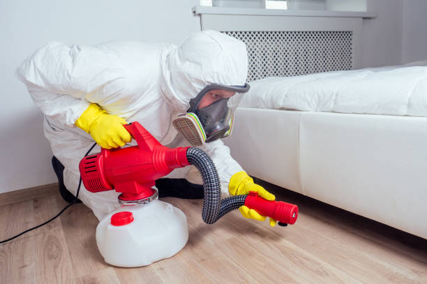 Best Emergency Pest Control  in Dunkirk, NY