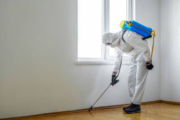 Reliable Dunkirk, NY Pest Control Solutions