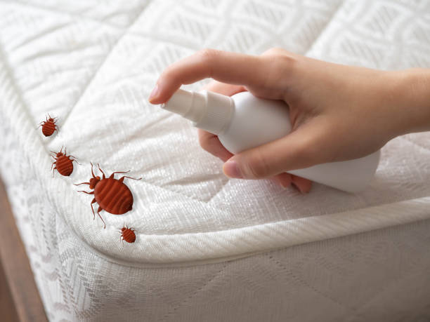 Best Residential Pest Control  in Dunkirk, NY
